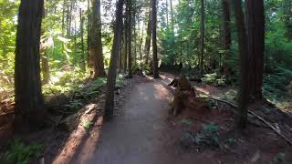 Pacific Spirit Regional Park (Spanish,...
