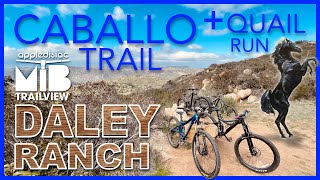 DALEY RANCH “CABALLO TRAIL + QUAIL RUN”