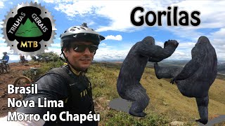 GORILAS: a INCRÍVEL Trilha de Enduro no Morro...