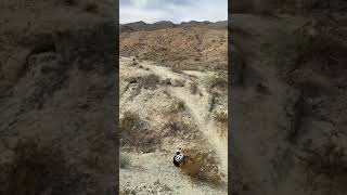 Dropping in! #shorts