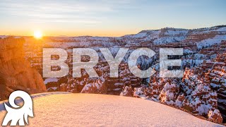 A Snowy Bryce Canyon!