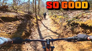 Fox 36 Factory Fit 4 On a Giant Trance