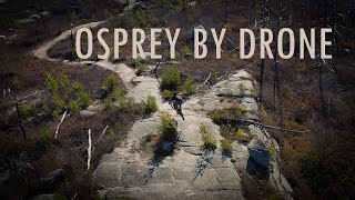 Osprey by Drone - McIntosh Run Singletrack