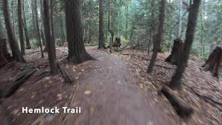 Pacific Spirit Regional Park (Iron Knee, Hemlock)