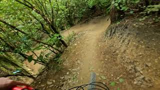 Serendipity(REBUILT!!!)@ Polhill Gully...