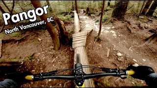 A Whole Whack of Woodwork // Pangor // Mt....
