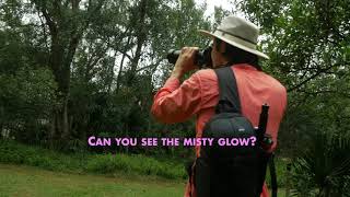 Freewell Variable ND Mist Filter Pro MIST TEST