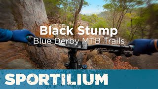 Blue Derby MTB Trails – Black Stump