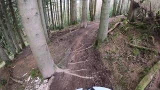 Ae forest: Fraser's line... Scotland Mtb