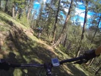 Lair o the bear best sale mountain biking