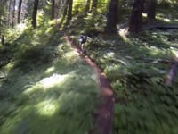 Oakridge, OR Day 4: Lower Bunchgrass, Heckletooth