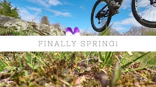 MTB - Finally Spring