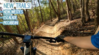 These NEW Trails are Amazing! - Eastern...
