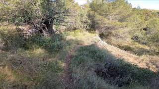 Font del Mas d'en Jaume