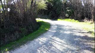 Mtb Camino Dh 1 Peso-Pietraia!