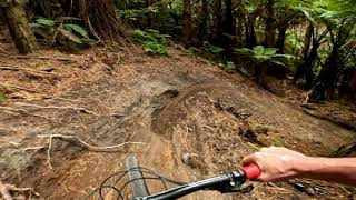 Minerals @ Whakarewarewa Forest Rotorua
