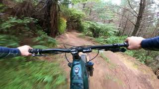 Top 2 Bottom BERMS at 440 Mountain Bike Park