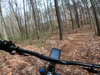 Cochran Mill Park Chattahoochee Hills Mountain Biking Trails