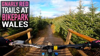 RIDING HARD RED TRAILS AT BIKEPARK WALES ON MY...