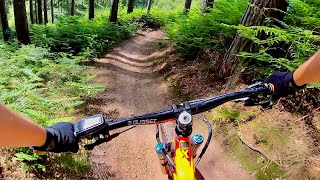 Cannock Chase MTB trails!