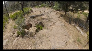 Good fun on Chainsaw // You Yangs MTB