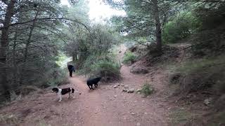 La Cova Negra