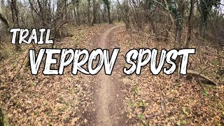 Veprov spust trail - Helmetcam 2021