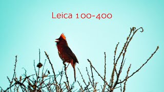 Shooting Wildlife Photography with the...