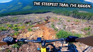 Skidding Through a Clear-cut | The Backwoods | MTB