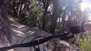 Alafia River State Park-  Roller Coaster