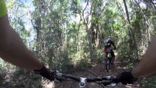Parque da Cidade, Trilha da Velocidade e Eucalipto
