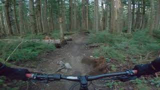 Not off the grid (NOTG) || Tiger Mountain ||...