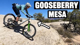 Goose Berry Mesa Adventure! (Hurricane MTB...