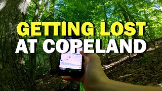 Getting Lost In The Copeland Forest