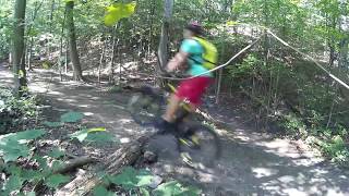 MY FAVORITE MTB TRAIL - Jumps and Roots -...