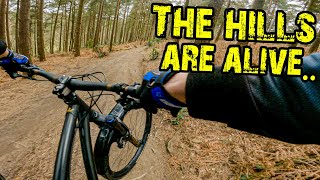 Surrey Hills Shred - Good To Be Back Out...