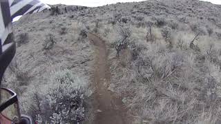 Saddleback