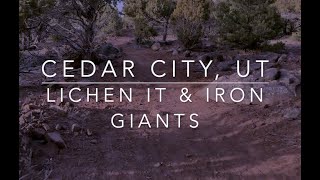 Lichen It & Iron Giants Mountain Bike...