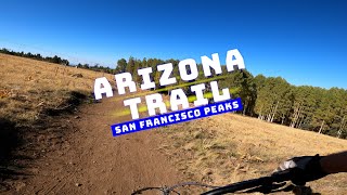 Descent on Arizona Trail | San Francisco Peaks...