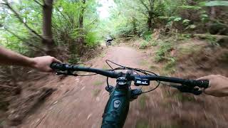 Fast flowing jumps into high-speed tight -...