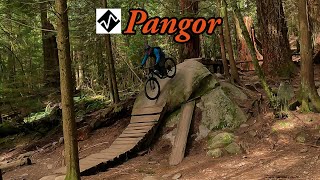 Trail Mounted Camera - MTB Riding on Pangor