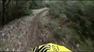 Monte Pale - La Tagliata - Discesa Mtb con il...