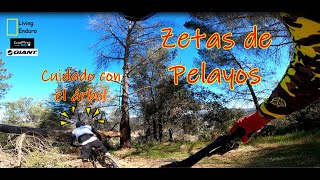 RAW | Persiguiendo a NANY  |ZETAS DE PELAYOS |...