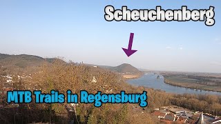 Scheuchenberg Trail //MTB Regensburg//...