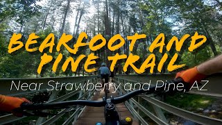 Bearfoot and Pine Trail Mountain Biking -...