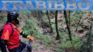 MTB Montalbano 10.04.2021 sentiero FRABIBBO e...