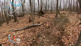 Greylock Glen Trails - Dragon Tail