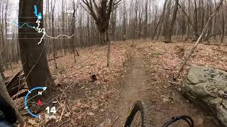Greylock Glen Trails - Wolftree