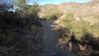 Blue Bug Trail in LA 1/16/21 Gopro Hero 7