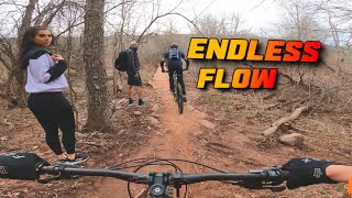 Elm Ridge Wild Forest in Windham NY